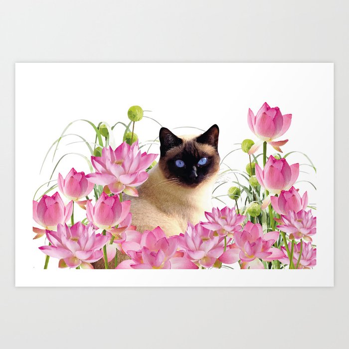 Siam Cat with pink Lotus Flower Blossoms Art Print