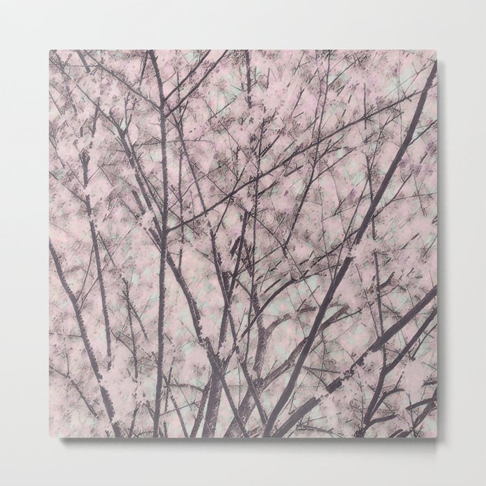 Cherry Blossomed Metal Print