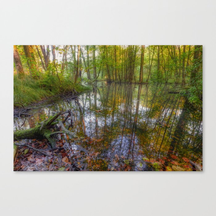 Autumn Pond Reflection (Feniscowles, Blackburn) Canvas Print