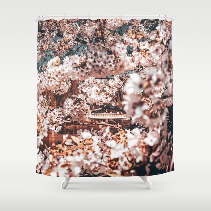 Cherry Blossom in Central Park New York Shower Curtain