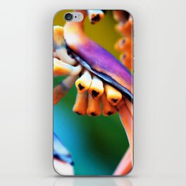 Colorful Heliconia Macro iPhone Skin