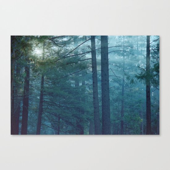 no lying in the still Canvas Print