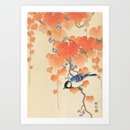 Colorful bird sitting on a tree branch - Japanese vintage woodblock print art  Art Print