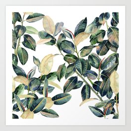 Ficus Leaves Pattern Art Print