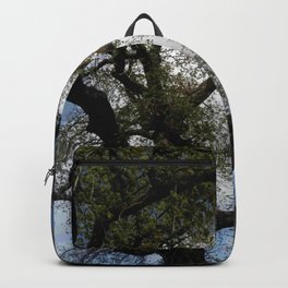 Sky and tree 5 Backpack