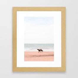 Travel photography print "Happy dog on the beach". Made in The Netherlands. Pastel tones, portrait mode. Framed Art Print