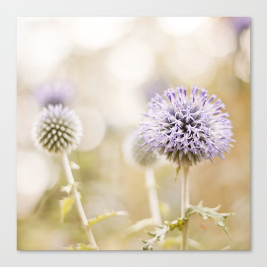 Curious Canvas Print