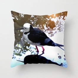 Black-winged Stilt - Color Throw Pillow
