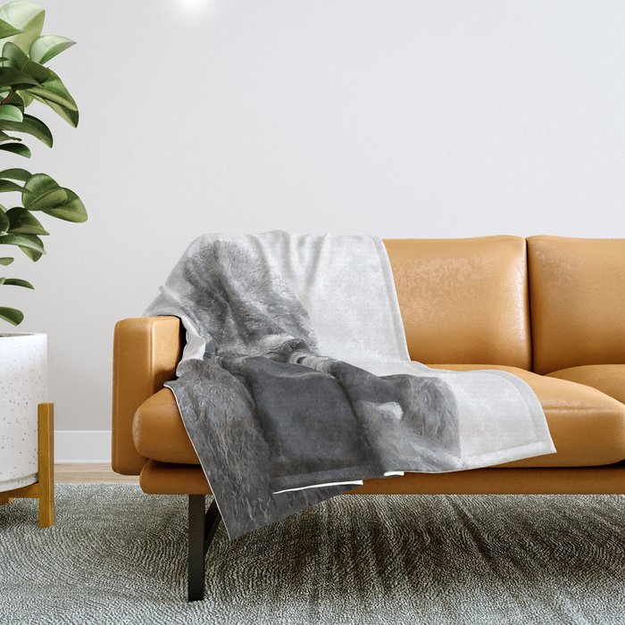 Urban barn throw best sale blankets