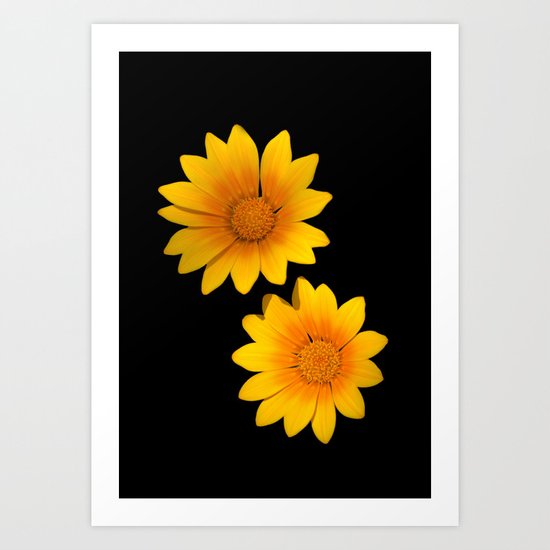 Two Yellow Flowers on Funky Black Background Art Print