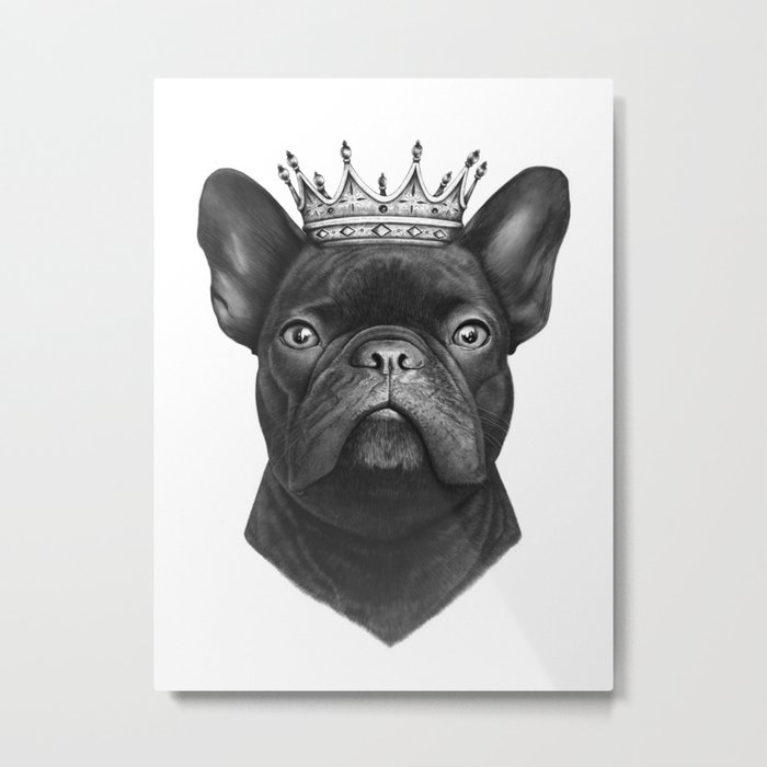 King french bulldog Metal Print