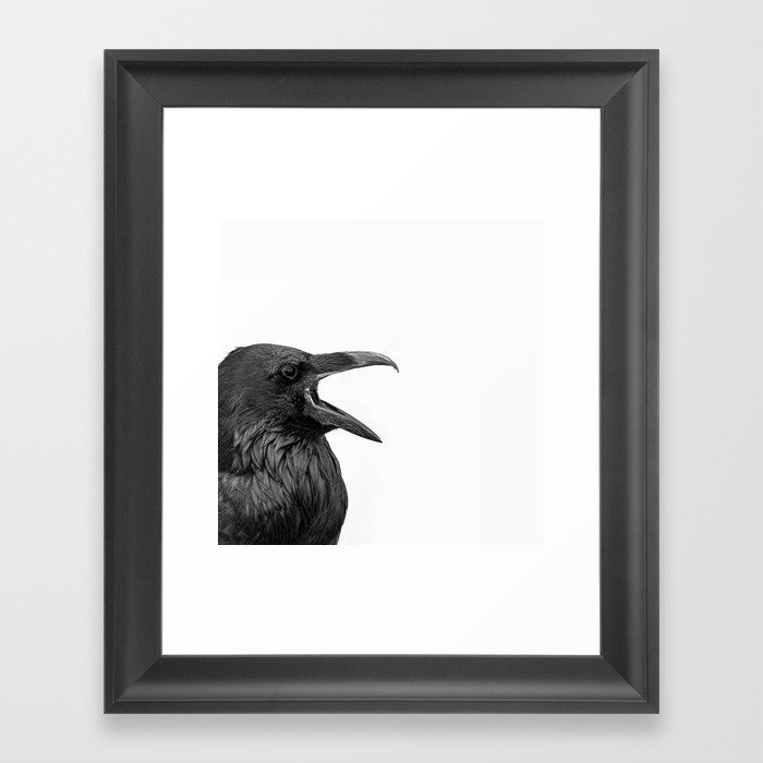 Raven - Black and White Bird Photography Framed Art Print