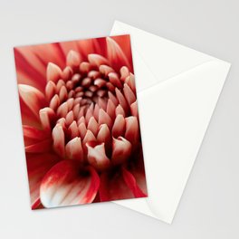 Majestic Red-White Dahlia Flower Stationery Card