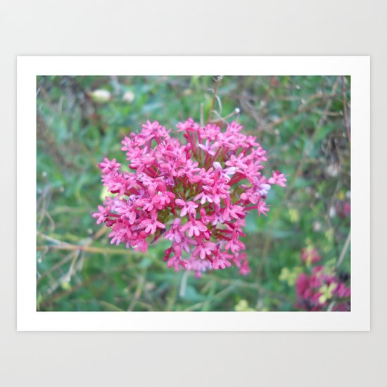 Bunch Art Print