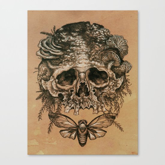 Skull with Cicada Canvas Print