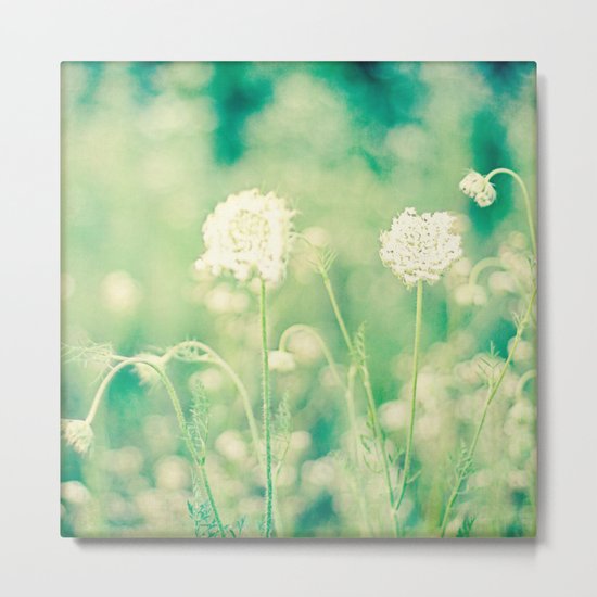 field of lace Metal Print