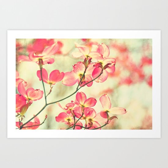 morning light Art Print