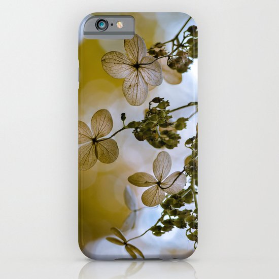Dry hydrangea iPhone & iPod Case