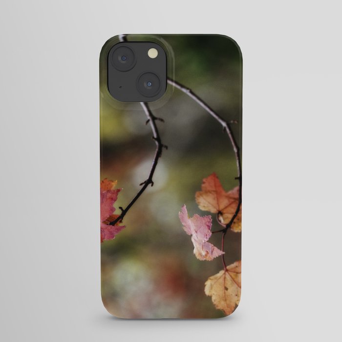 fall leaves iPhone Case