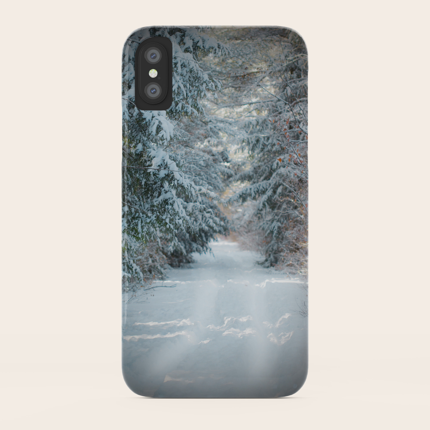 Trail By Evergreens In Winter Iphone Case By Brookeryanphotography