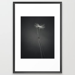 the seed Framed Art Print