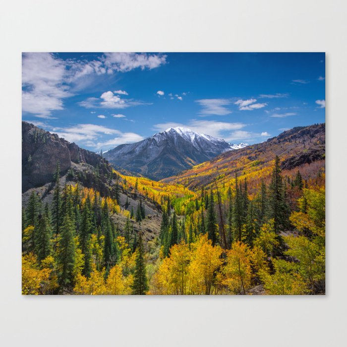 Canvas Print