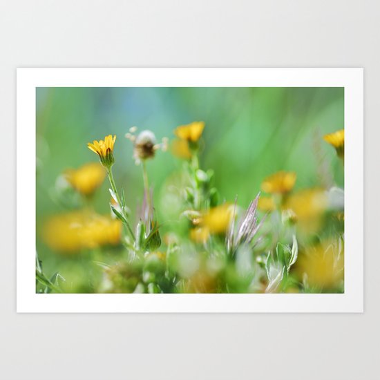 Spring colors Art Print