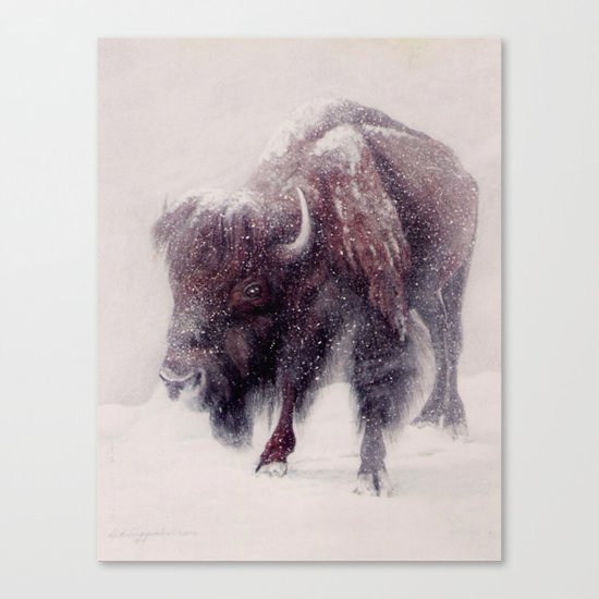 Buffalo Blizzard painting Canvas Print