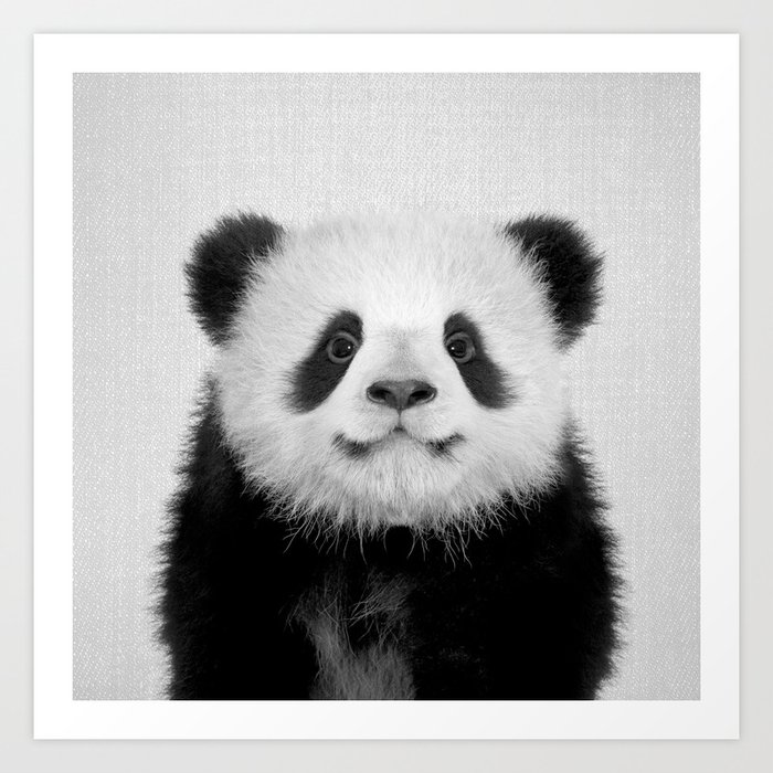 society6