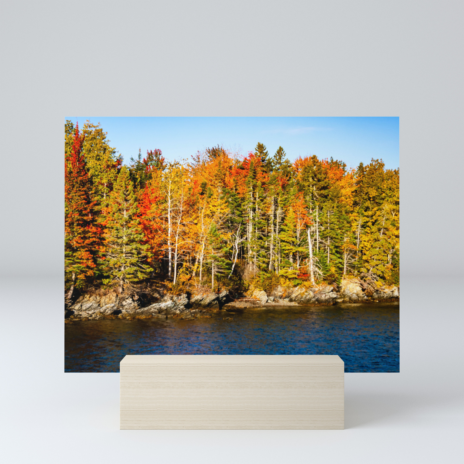New England Fall Usa Mini Art Print By Christodora Society6