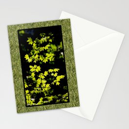 late summer sunny maple leaves Stationery Cards