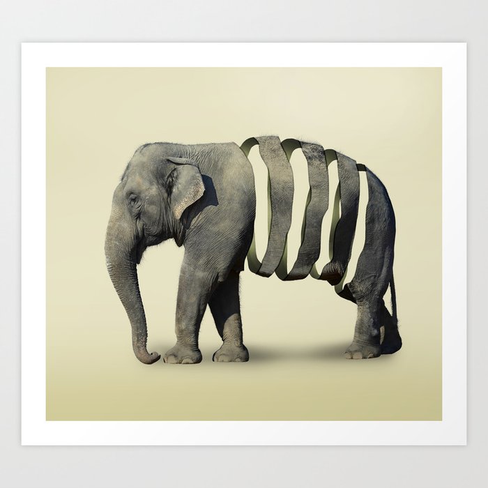 elephant print ribbon