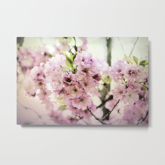 vintage cherry blossom Metal Print