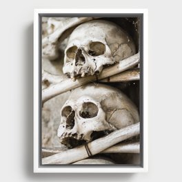 Two Skulls Framed Canvas