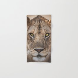Lioness Portrait (Color) Hand & Bath Towel