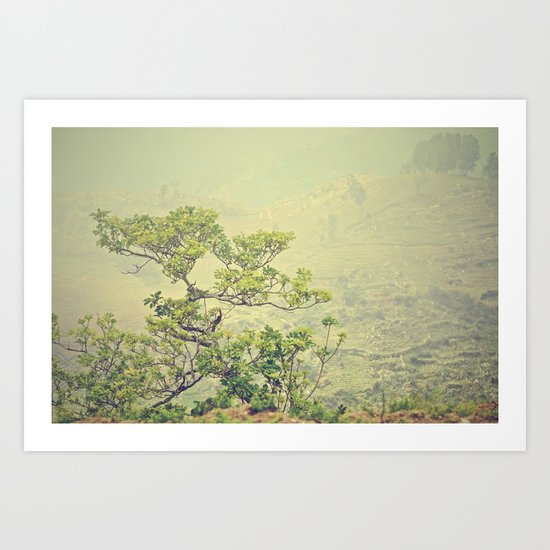 Caribbean Bonsai Art Print