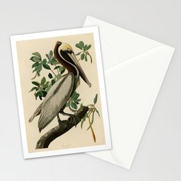 Brown Pelican, Birds of America by John James Audubon Stationery Card