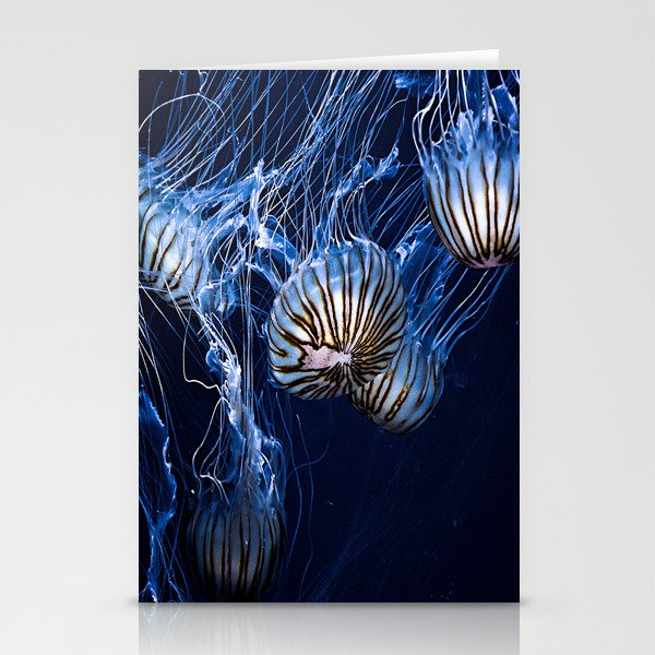 Jellyfish swimming Stationery Cards