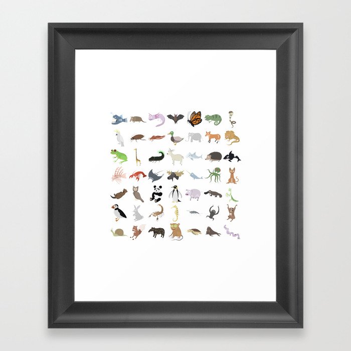 Animals Framed Art Print