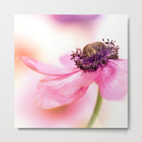 Smooth too... Metal Print