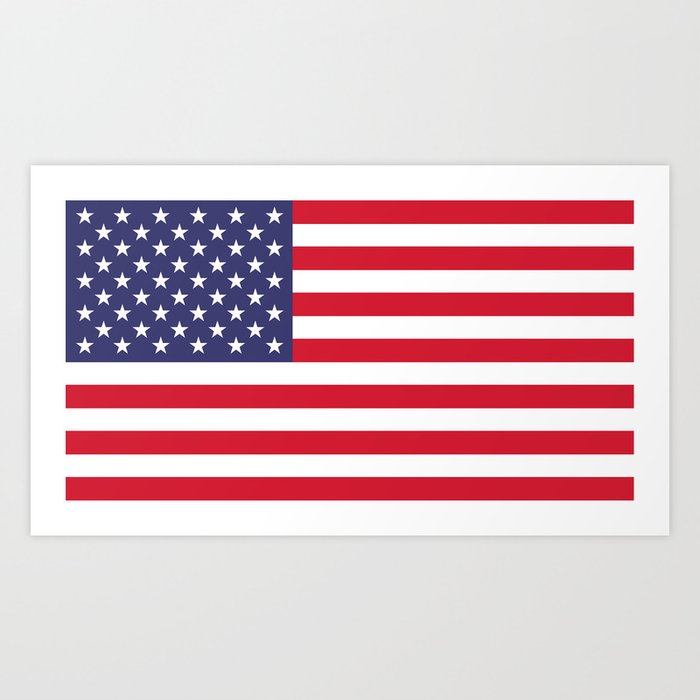 USA FLAG Art Print