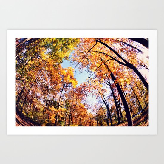 Fisheye Fall Art Print