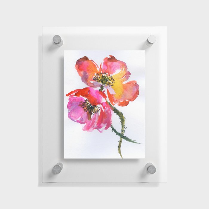 two poppies Floating Acrylic Print
