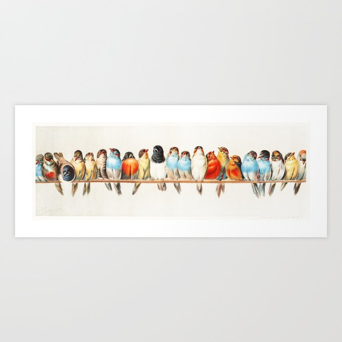 Colorful Birds in a Row x Vintage Painting Art Print