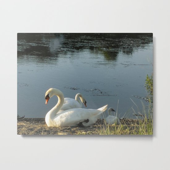 Parents and baby relaxing on the shore Metal Print
