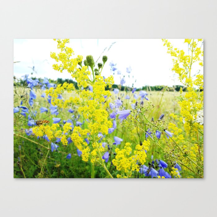 Bee on Yellow Flower Canvas Print