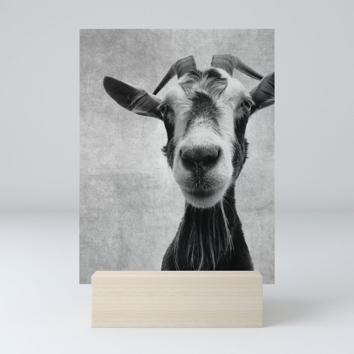 Goat Portrait in Black and White Mini Art Print