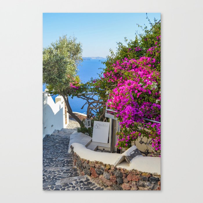 Canvas Print