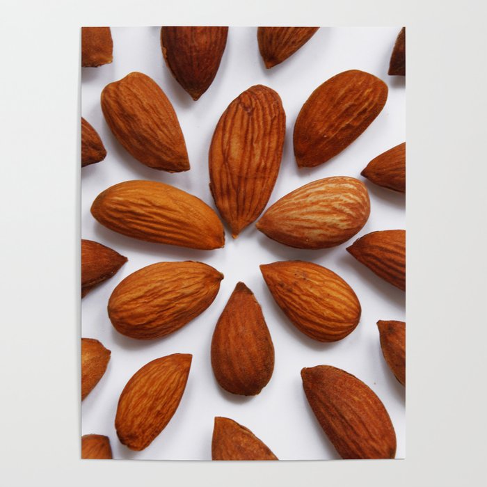pattern from almonds seeds on a white background Poster by Fiseni4 |  Society6