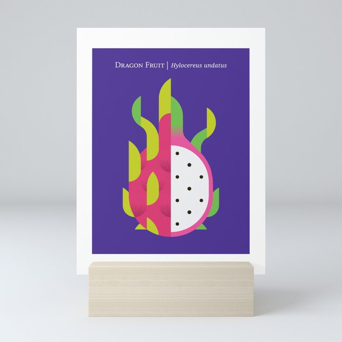 Fruit: Dragon Fruit Mini Art Print